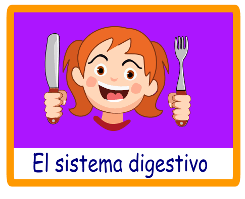 Juego interactivo para aprender las partes del sistema digestivo en niños de primaria