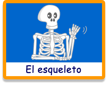 El esqueleto